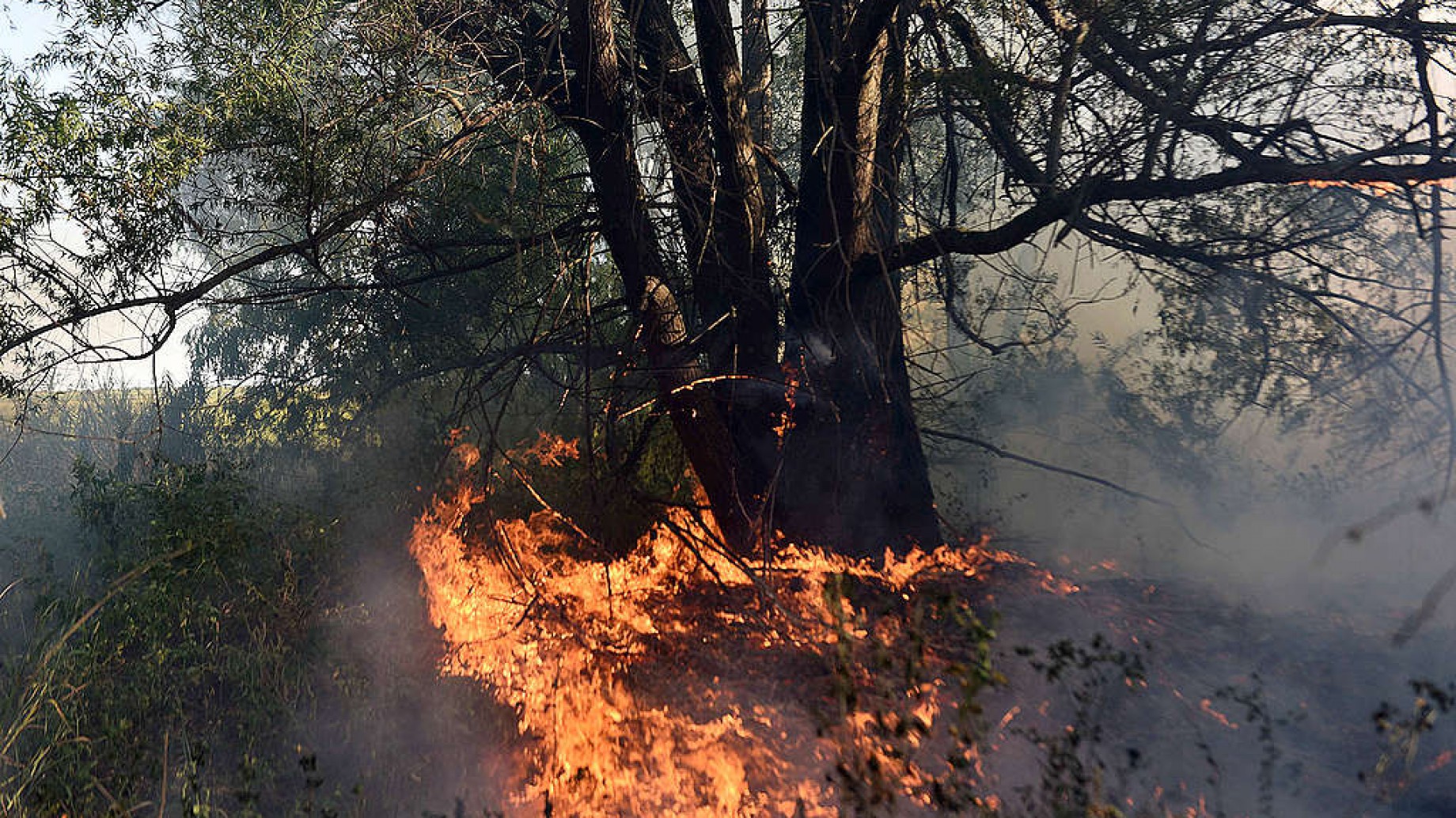 Quema de humedales: con 7400 focos, agosto ya es el mes más complicado
